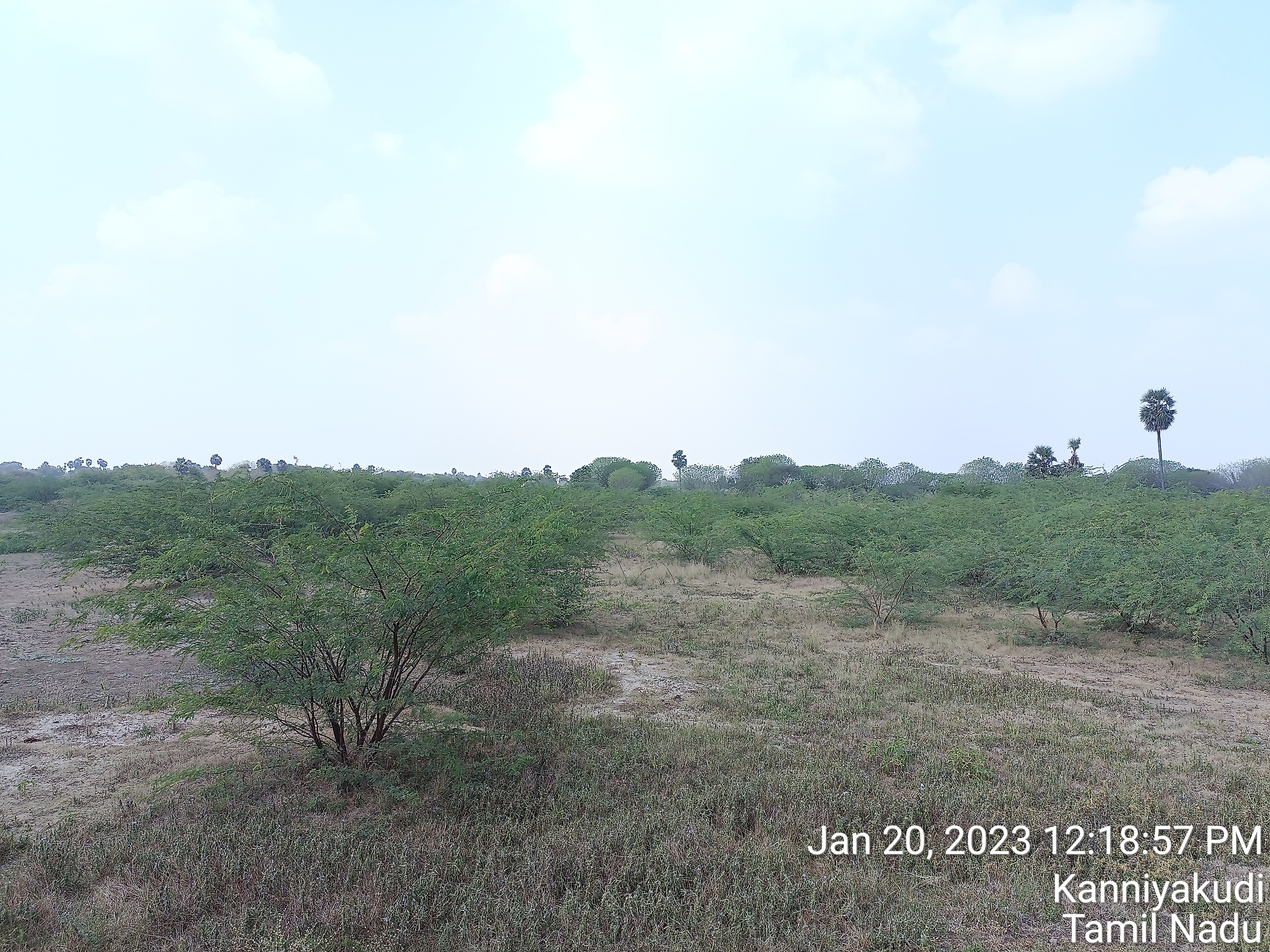 TimePhoto_20230120_121857.jpg